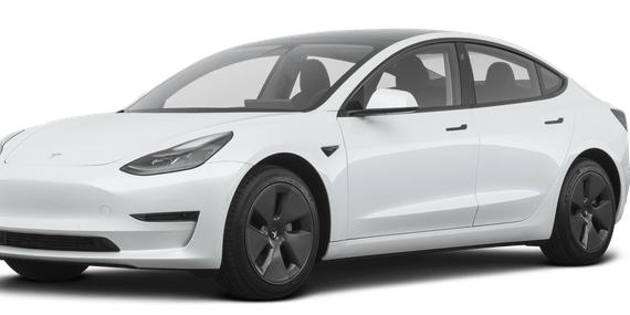 TESLA MODEL 3 2021 5YJ3E1EA7MF017987 image